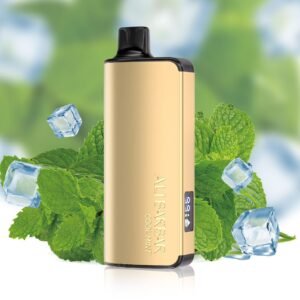 ALIBARBAR INGOT 9000 PUFF – COOL MINT - buy ALIBARBAR online Australia