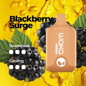 WAKA SMASH 6000 PUFF – BLACKBERRY SURGE - buy WAKA Smash online Australia