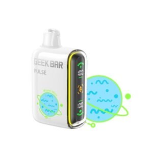 GEEK BAR VAPE 9000 PUFF – MIAMI MINT - buy GEEK BAR online Australia