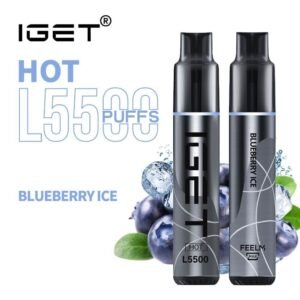 iGET HOT VAPE 5500 PUFF – BLUEBERRY ICE - buy IGET HOT online Australia