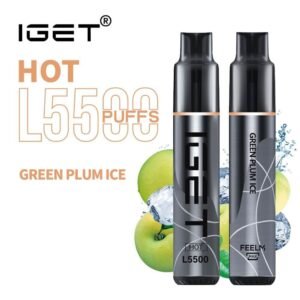 iGET HOT VAPE 5500 PUFF – GREEN PLUM ICE - buy IGET HOT online Australia